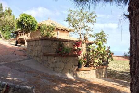 Villa Rural Faldas Del Teide Icod de los Vinos Kültér fotó