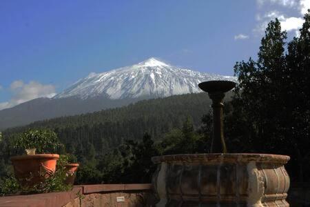 Villa Rural Faldas Del Teide Icod de los Vinos Kültér fotó
