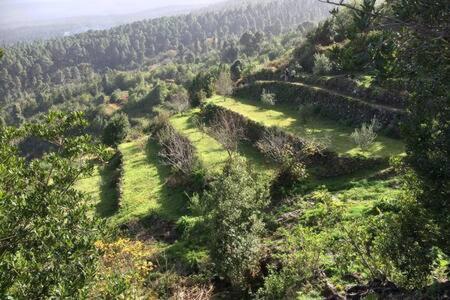 Villa Rural Faldas Del Teide Icod de los Vinos Kültér fotó