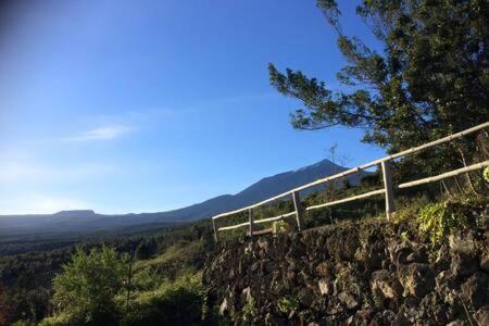 Villa Rural Faldas Del Teide Icod de los Vinos Kültér fotó