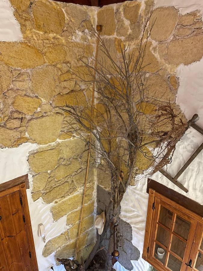 Villa Rural Faldas Del Teide Icod de los Vinos Kültér fotó
